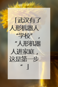 武汉有了人形机器人“学校”，“人形机器人进家庭，这是第一步”