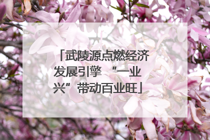 武陵源点燃经济发展引擎 “一业兴”带动百业旺