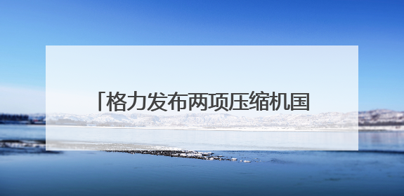 格力发布两项压缩机国际标准，董明珠发声