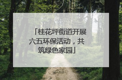 桂花坪街道开展六五环保活动，共筑绿色家园
