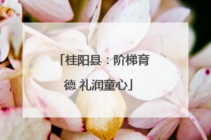桂阳县：阶梯育德 礼润童心