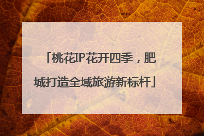 桃花IP花开四季，肥城打造全域旅游新标杆