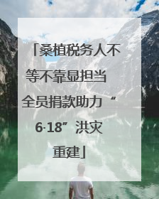 桑植税务人不等不靠显担当 全员捐款助力“6·18”洪灾重建