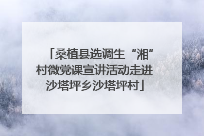 桑植县选调生“湘”村微党课宣讲活动走进沙塔坪乡沙塔坪村