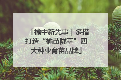 榆中新先事｜多措打造“榆苗陇萃”四大种业育苗品牌