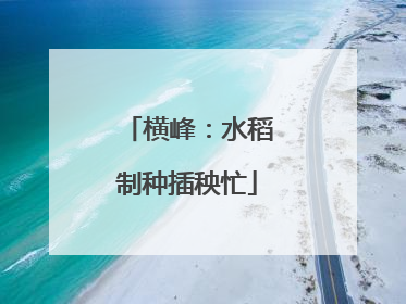 横峰：水稻制种插秧忙