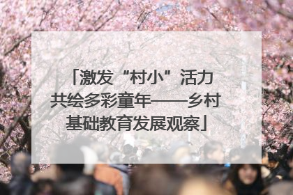 激发“村小”活力 共绘多彩童年——乡村基础教育发展观察
