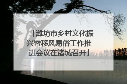 潍坊市乡村文化振兴暨移风易俗工作推进会议在诸城召开