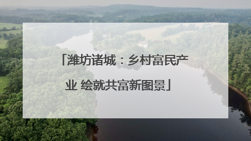 潍坊诸城：乡村富民产业 绘就共富新图景