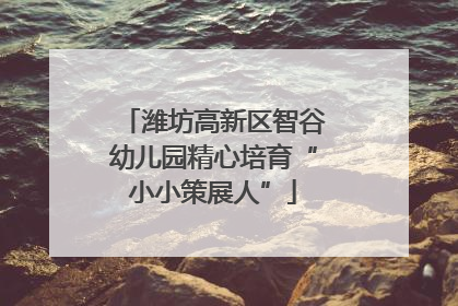 潍坊高新区智谷幼儿园精心培育“小小策展人”