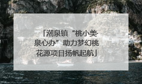 潮泉镇“桃小美·泉心办”助力梦幻桃花源项目扬帆起航