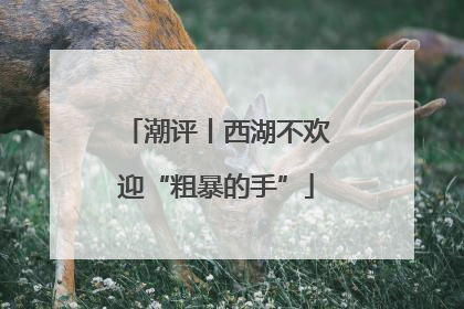 潮评丨西湖不欢迎“粗暴的手”