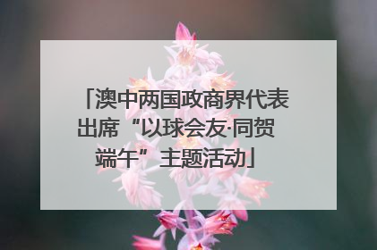 澳中两国政商界代表出席“以球会友·同贺端午”主题活动