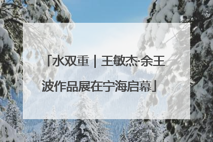 水双重｜王敏杰·余王波作品展在宁海启幕