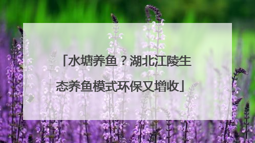 水塘养鱼？湖北江陵生态养鱼模式环保又增收