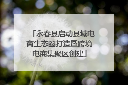 永春县启动县域电商生态圈打造暨跨境电商集聚区创建