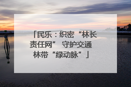 民乐：织密“林长责任网” 守护交通林带“绿动脉”