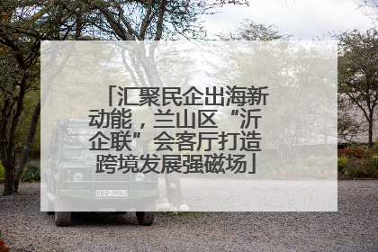 汇聚民企出海新动能，兰山区“沂企联”会客厅打造跨境发展强磁场