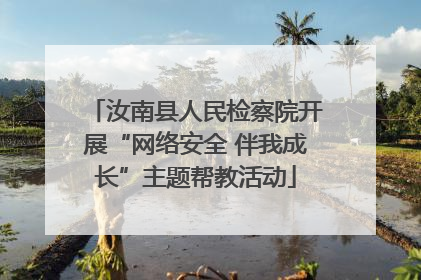 汝南县人民检察院开展“网络安全 伴我成长”主题帮教活动