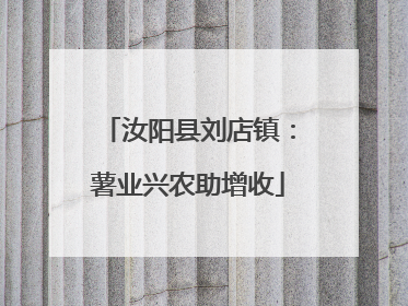 汝阳县刘店镇：薯业兴农助增收