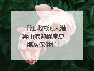 江北内河大港梁山港迎峰度夏煤炭保供忙