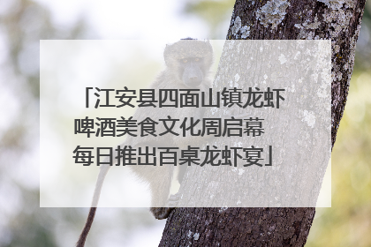 江安县四面山镇龙虾啤酒美食文化周启幕 每日推出百桌龙虾宴