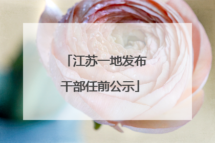 江苏一地发布干部任前公示
