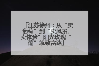 江苏徐州：从“卖葡萄”到“卖风景、卖体验”阳光玫瑰“葡”就致富路