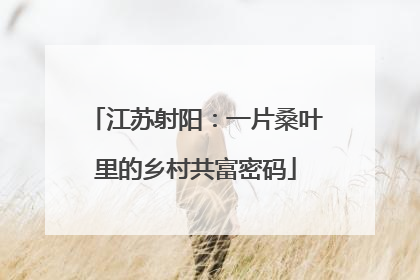 江苏射阳：一片桑叶里的乡村共富密码
