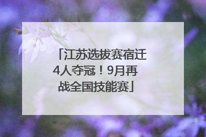 江苏选拔赛宿迁4人夺冠！9月再战全国技能赛