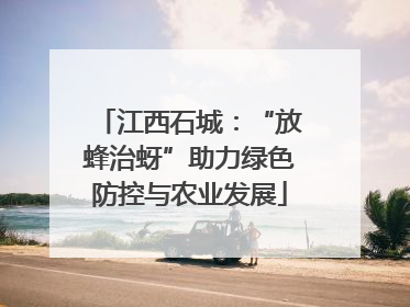 江西石城：“放蜂治蚜”助力绿色防控与农业发展