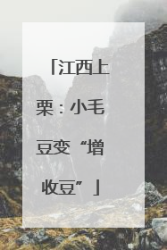 江西上栗：小毛豆变“增收豆”