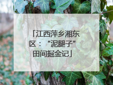 江西萍乡湘东区：“泥腿子”田间掘金记
