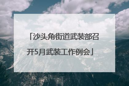 沙头角街道武装部召开5月武装工作例会