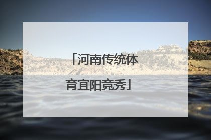 河南传统体育宜阳竞秀