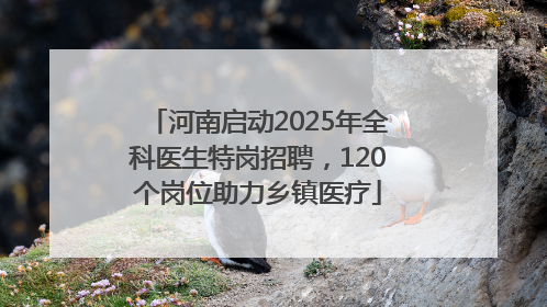 河南启动2025年全科医生特岗招聘，120个岗位助力乡镇医疗