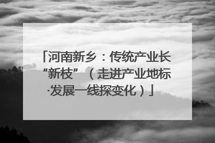 河南新乡：传统产业长“新枝”（走进产业地标·发展一线探变化）