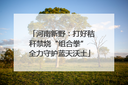 河南新野：打好秸秆禁烧“组合拳” 全力守护蓝天沃土