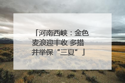 河南西峡：金色麦浪迎丰收 多措并举保“三夏”