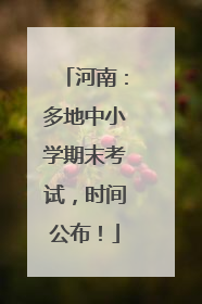 河南：多地中小学期末考试，时间公布！