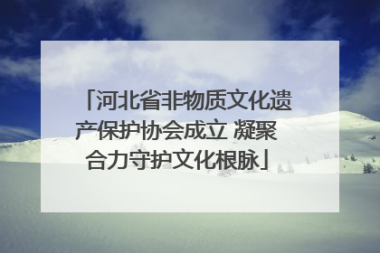河北省非物质文化遗产保护协会成立 凝聚合力守护文化根脉