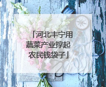 河北丰宁用蔬菜产业撑起农民钱袋子