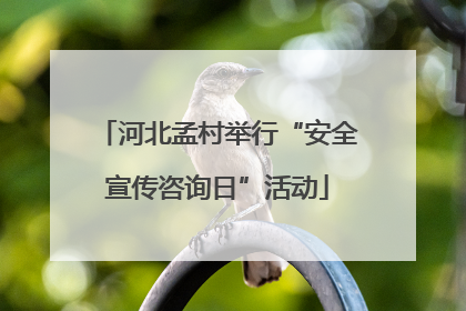 河北孟村举行“安全宣传咨询日”活动