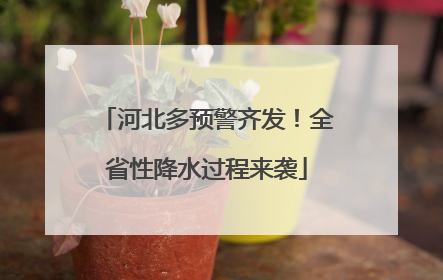 河北多预警齐发！全省性降水过程来袭