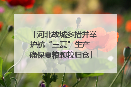 河北故城多措并举护航“三夏”生产 确保夏粮颗粒归仓