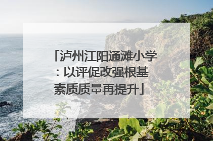 泸州江阳通滩小学：以评促改强根基 素质质量再提升
