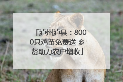 泸州泸县：8000只鸡苗免费送 乡贤助力农户增收