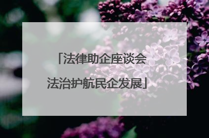 法律助企座谈会 法治护航民企发展