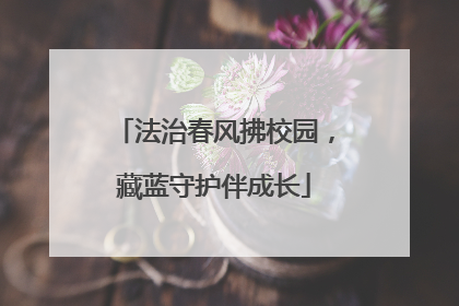 法治春风拂校园，藏蓝守护伴成长