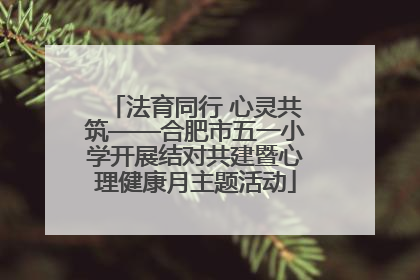 法育同行 心灵共筑——合肥市五一小学开展结对共建暨心理健康月主题活动